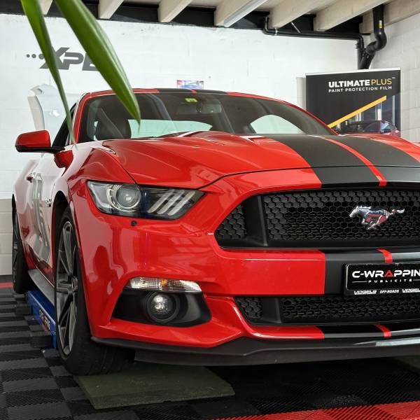 Ford Mustang V8 covering en bande décorative